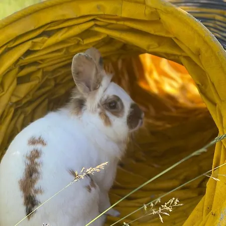 Ballangen Campeggio *