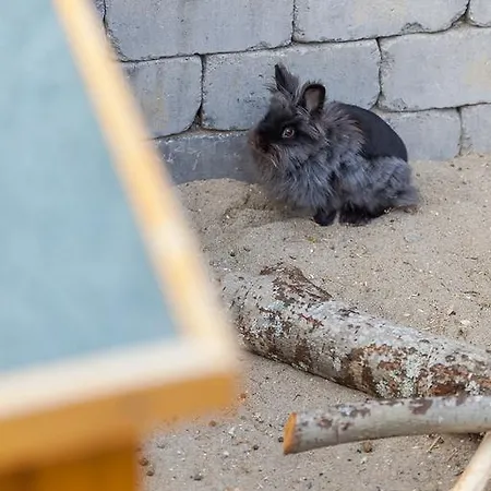 Campeggio Ballangen *