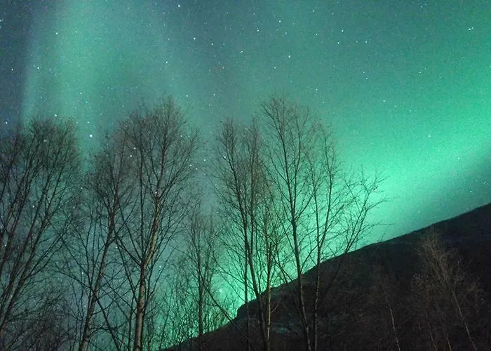 Ballangen Kemp Narvik